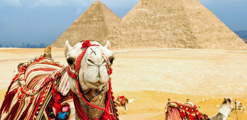 Cairo with Nuun/Nuut Dahabiya Tour Cairo with Nuun/Nuut Dahabiya Tour